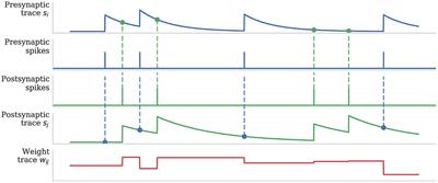 Neuromodulated Synaptic Plasticity on the SpiNNaker Neuromorphic System